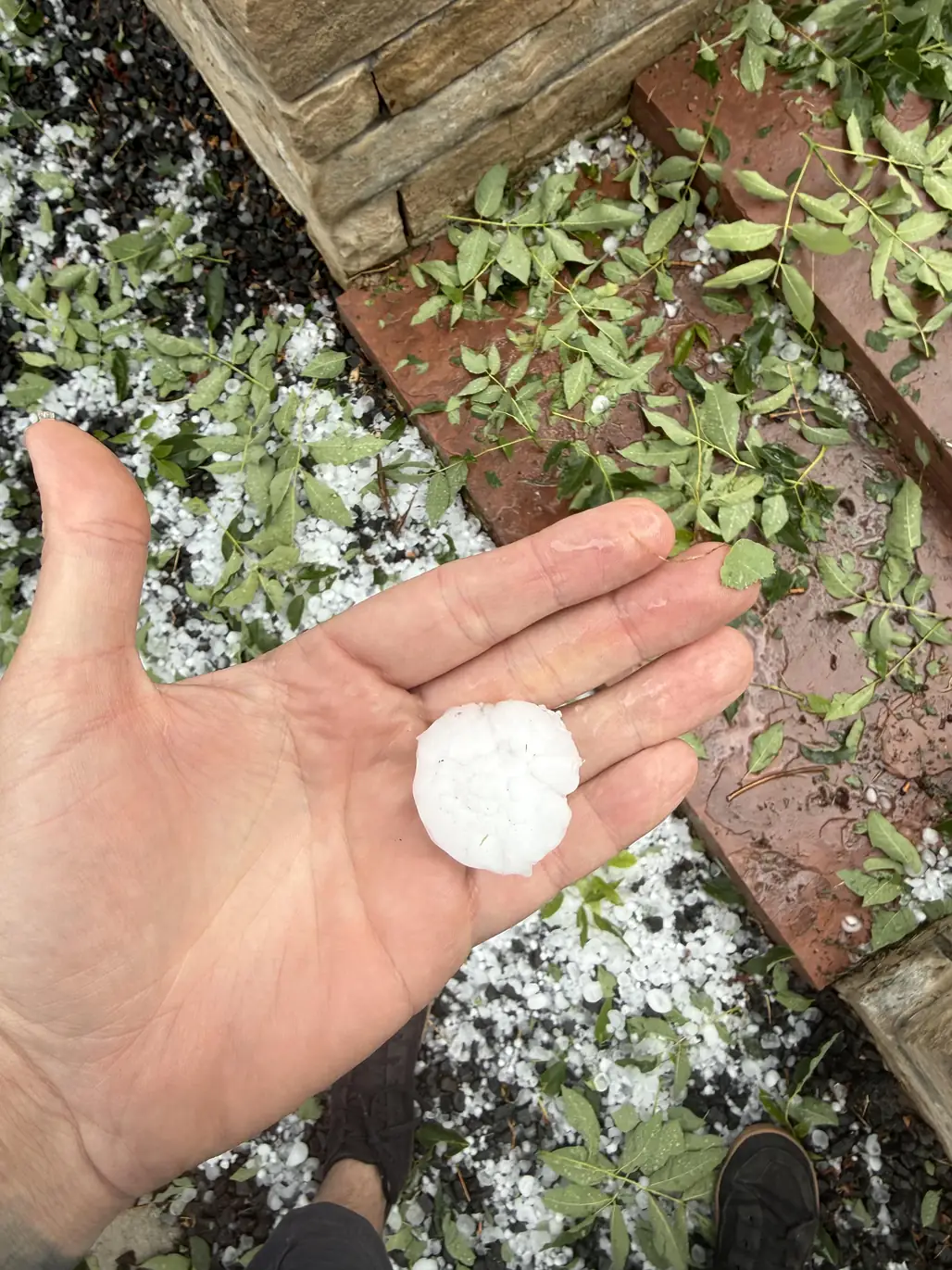Large hailstone from a storm